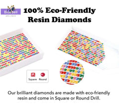 Sunset country drive